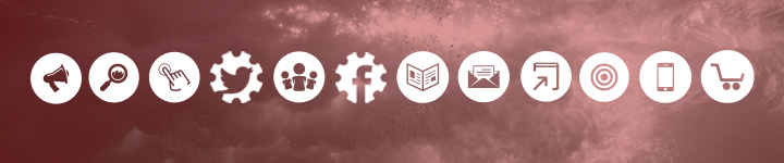 Digital Marketing Consultant